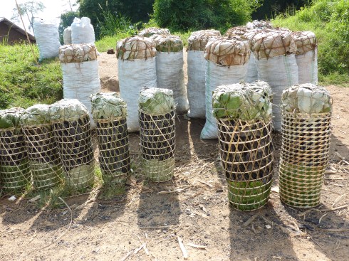 Charcoal packaged and ready for sale