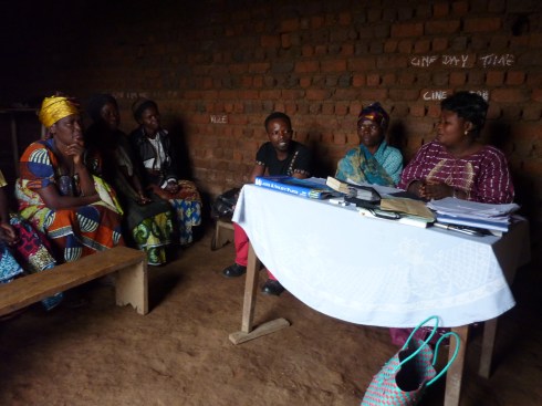 Saasita leading the CSCODI microfinance group