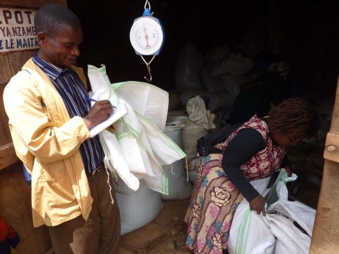 Muhosole from CSCODI buying beans