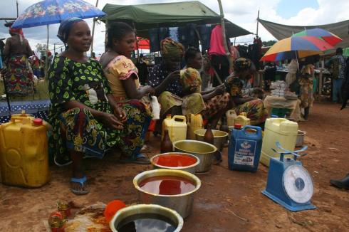 11237211_10207351351764638_5760385143816030591_n