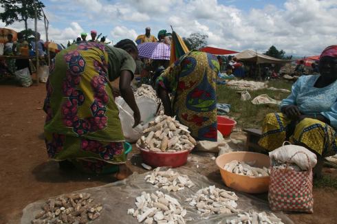 11822600_10207351351804639_7174739180485864536_n